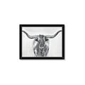 Picture of Painted Longhorn Bull _GroupedProduct_Rectangle_Landscape_Framed_Matted_
