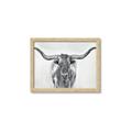 Picture of Painted Longhorn Bull _GroupedProduct_Rectangle_Landscape_Framed_Matted_