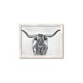 Picture of Painted Longhorn Bull _GroupedProduct_Rectangle_Landscape_Framed_Matted_
