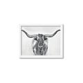 Picture of Painted Longhorn Bull _GroupedProduct_Rectangle_Landscape_Framed_Matted_