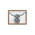 Picture of Painted Longhorn Bull _GroupedProduct_Rectangle_Landscape_Framed_Matted_
