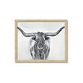 Picture of Painted Longhorn Bull _GroupedProduct_Rectangle_Landscape_Framed_Matted_