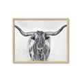 Picture of Painted Longhorn Bull _GroupedProduct_Rectangle_Landscape_Framed_Matted_