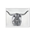 Picture of Painted Longhorn Bull _GroupedProduct_Rectangle_Landscape_Framed_Matted_