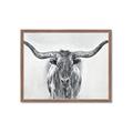 Picture of Painted Longhorn Bull _GroupedProduct_Rectangle_Landscape_Framed_Matted_