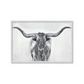 Picture of Painted Longhorn Bull _GroupedProduct_Rectangle_Landscape_Framed_Matted_