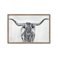 Picture of Painted Longhorn Bull _GroupedProduct_Rectangle_Landscape_Framed_Matted_