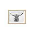 Picture of Painted Longhorn Bull _GroupedProduct_Rectangle_Landscape_Framed_Matted_