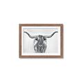 Picture of Painted Longhorn Bull _GroupedProduct_Rectangle_Landscape_Framed_Matted_