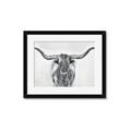 Picture of Painted Longhorn Bull _GroupedProduct_Rectangle_Landscape_Framed_Matted_