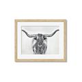 Picture of Painted Longhorn Bull _GroupedProduct_Rectangle_Landscape_Framed_Matted_