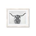 Picture of Painted Longhorn Bull _GroupedProduct_Rectangle_Landscape_Framed_Matted_