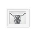 Picture of Painted Longhorn Bull _GroupedProduct_Rectangle_Landscape_Framed_Matted_