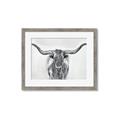Picture of Painted Longhorn Bull _GroupedProduct_Rectangle_Landscape_Framed_Matted_
