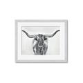 Picture of Painted Longhorn Bull _GroupedProduct_Rectangle_Landscape_Framed_Matted_