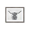 Picture of Painted Longhorn Bull _GroupedProduct_Rectangle_Landscape_Framed_Matted_