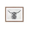 Picture of Painted Longhorn Bull _GroupedProduct_Rectangle_Landscape_Framed_Matted_