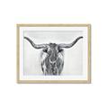 Picture of Painted Longhorn Bull _GroupedProduct_Rectangle_Landscape_Framed_Matted_