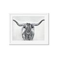 Picture of Painted Longhorn Bull _GroupedProduct_Rectangle_Landscape_Framed_Matted_