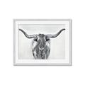 Picture of Painted Longhorn Bull _GroupedProduct_Rectangle_Landscape_Framed_Matted_