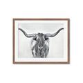 Picture of Painted Longhorn Bull _GroupedProduct_Rectangle_Landscape_Framed_Matted_