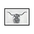Picture of Painted Longhorn Bull _GroupedProduct_Rectangle_Landscape_Framed_Matted_
