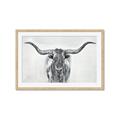 Picture of Painted Longhorn Bull _GroupedProduct_Rectangle_Landscape_Framed_Matted_