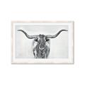 Picture of Painted Longhorn Bull _GroupedProduct_Rectangle_Landscape_Framed_Matted_
