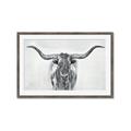 Picture of Painted Longhorn Bull _GroupedProduct_Rectangle_Landscape_Framed_Matted_