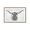 Picture of Painted Longhorn Bull _GroupedProduct_Rectangle_Landscape_Framed_Matted_