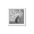 Picture of Cotton Flower _GroupedProduct_Square_Framed_Matted_