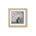 Picture of Cotton Flower _GroupedProduct_Square_Framed_Matted_