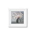 Picture of Cotton Flower _GroupedProduct_Square_Framed_Matted_