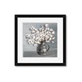 Picture of Cotton Flower _GroupedProduct_Square_Framed_Matted_