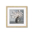 Picture of Cotton Flower _GroupedProduct_Square_Framed_Matted_