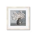 Picture of Cotton Flower _GroupedProduct_Square_Framed_Matted_