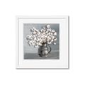 Picture of Cotton Flower _GroupedProduct_Square_Framed_Matted_