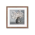Picture of Cotton Flower _GroupedProduct_Square_Framed_Matted_