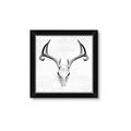 Picture of Cranial Bone ll   _GroupedProduct_Square_Framed_Matted_