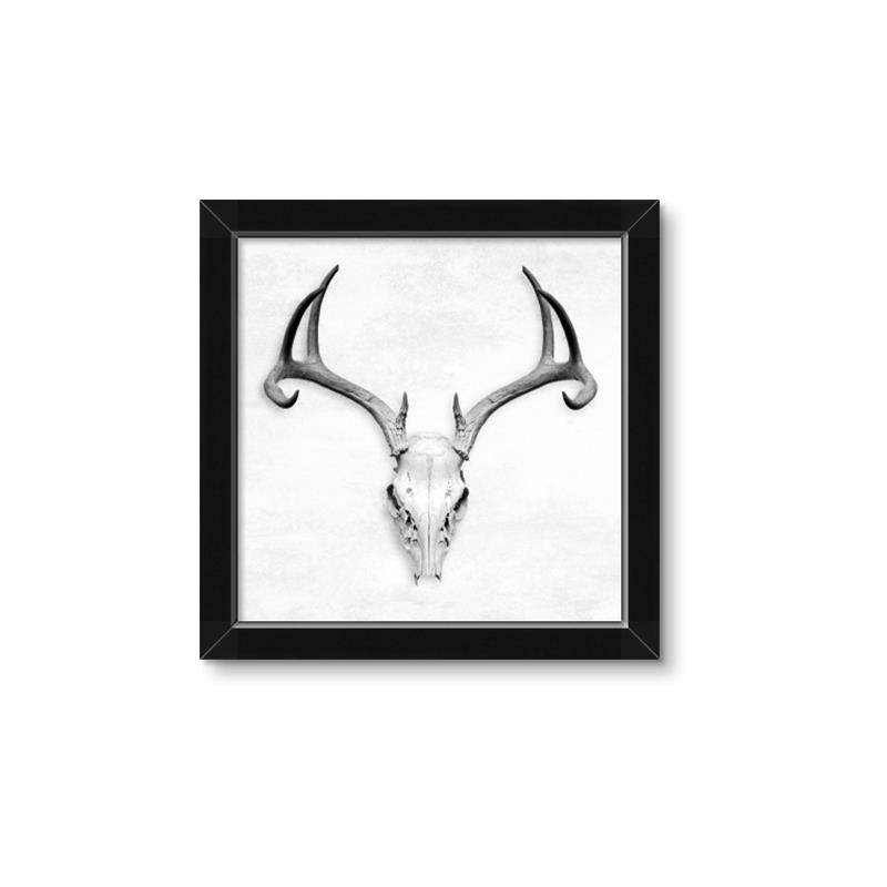 Picture of Cranial Bone ll   _GroupedProduct_Square_Framed_Matted_