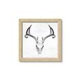 Picture of Cranial Bone ll   _GroupedProduct_Square_Framed_Matted_