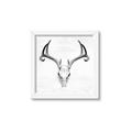Picture of Cranial Bone ll   _GroupedProduct_Square_Framed_Matted_