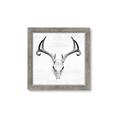 Picture of Cranial Bone ll   _GroupedProduct_Square_Framed_Matted_