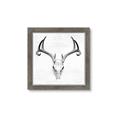 Picture of Cranial Bone ll   _GroupedProduct_Square_Framed_Matted_