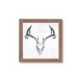 Picture of Cranial Bone ll   _GroupedProduct_Square_Framed_Matted_