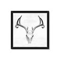 Picture of Cranial Bone ll   _GroupedProduct_Square_Framed_Matted_