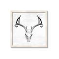 Picture of Cranial Bone ll   _GroupedProduct_Square_Framed_Matted_