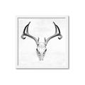 Picture of Cranial Bone ll   _GroupedProduct_Square_Framed_Matted_