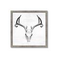 Picture of Cranial Bone ll   _GroupedProduct_Square_Framed_Matted_
