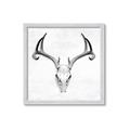 Picture of Cranial Bone ll   _GroupedProduct_Square_Framed_Matted_